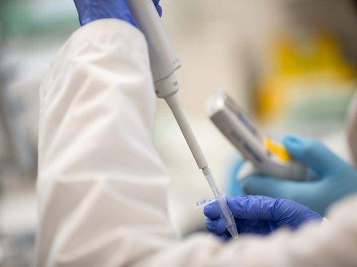 A student wears gloves while using a pipette on a sample